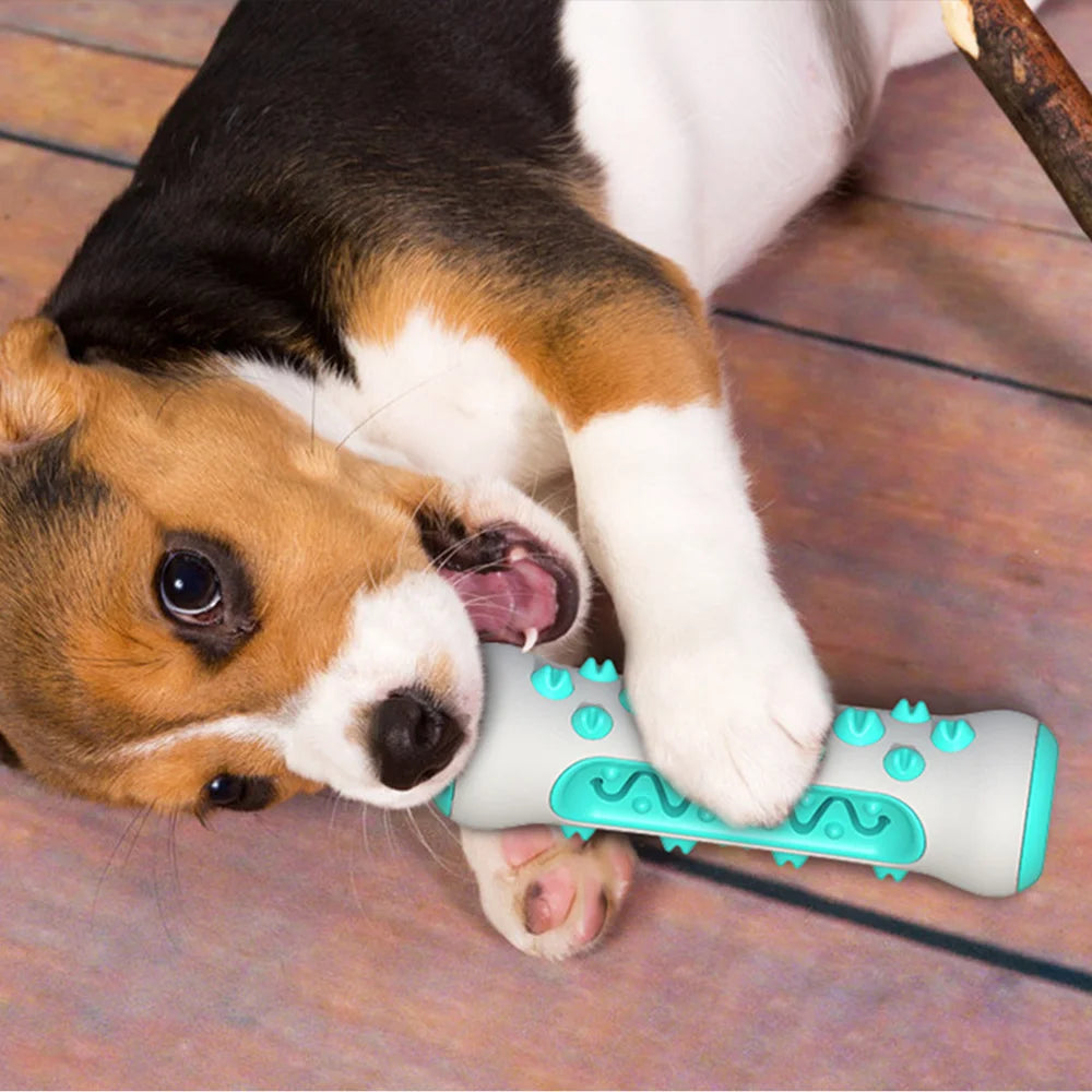 Dog Chew Toy for Large Small Dogs Pet Food Feeder Treat Dispenser Tooth Clean Interactive Training Toy Bulldog Labrador Supplies